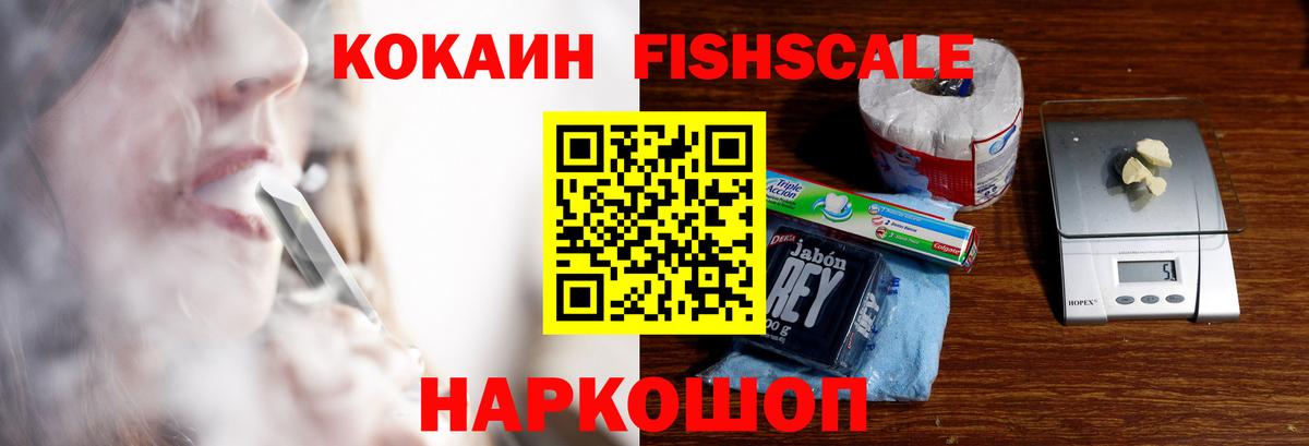 COCAIN Fish Scale  где купить наркоту  Минеральные Воды  Вход с VPN 