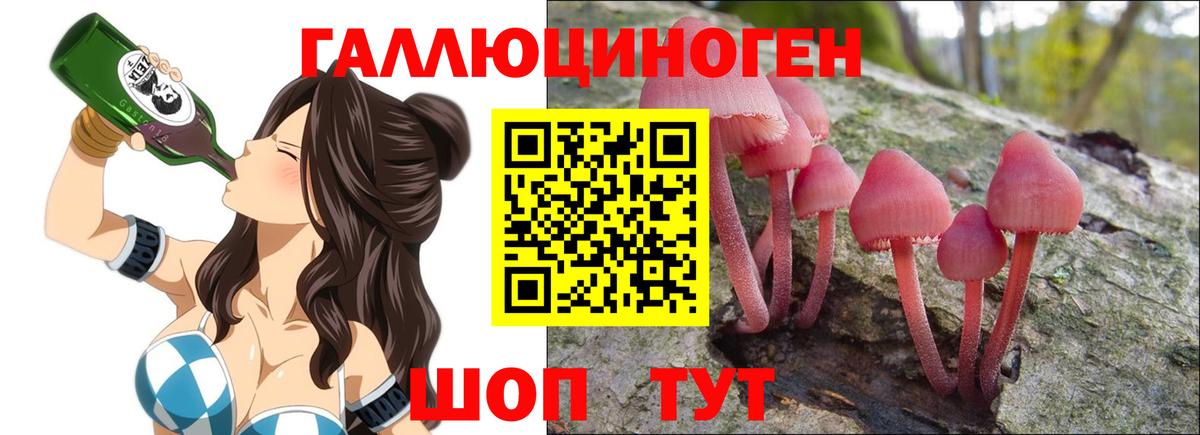 Минеральные Воды  Галлюциногенные грибы прущие грибы  Вход с VPN 